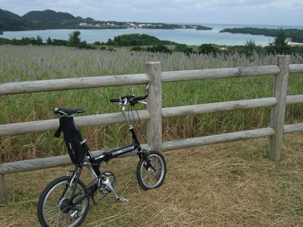 �약�p�̊C�ݐ�